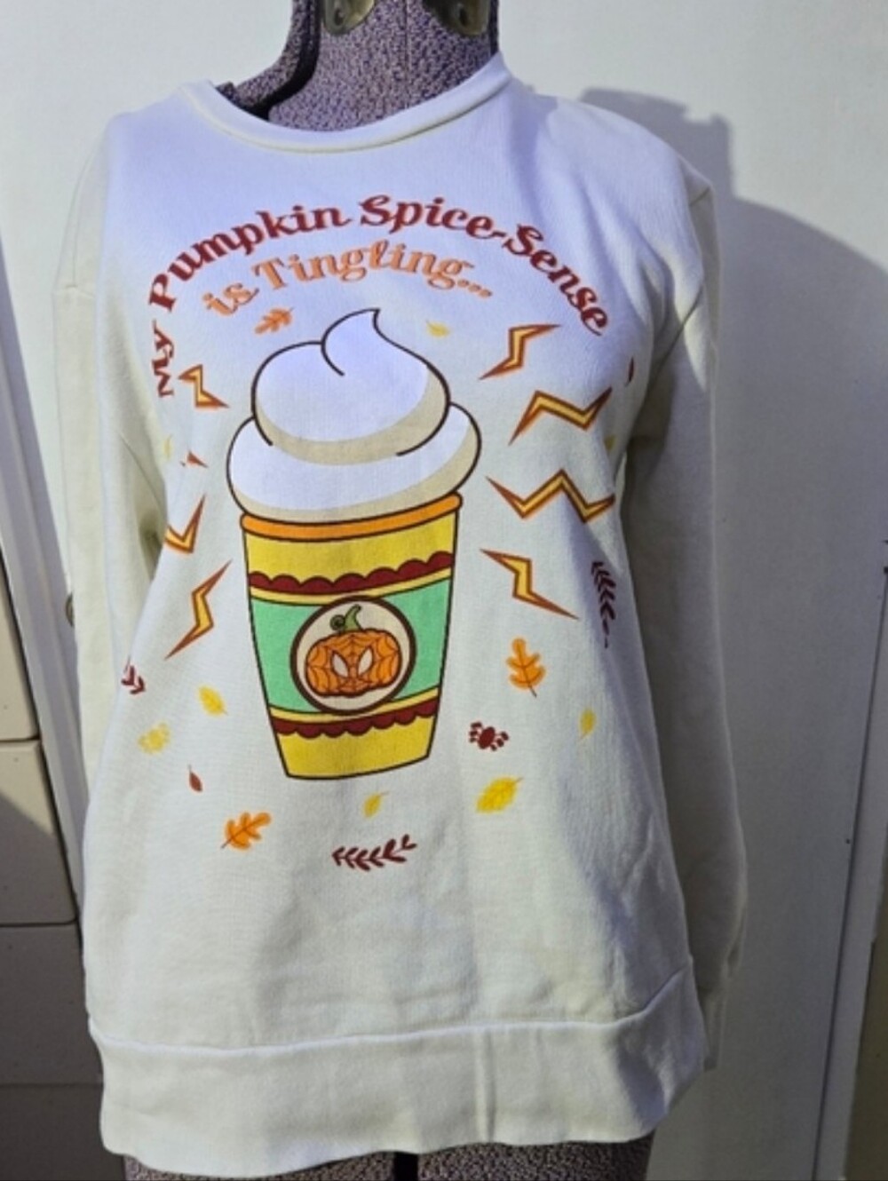 Spider-man Women's Sweatshirt Pullover Marvel Fall Pumpkin Spice Size XS